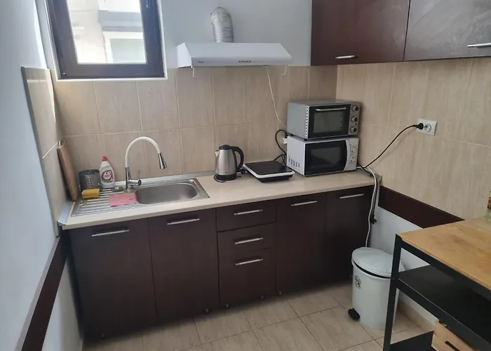 Basil Apartament-endless Summer Mamaia Nord 公寓 那沃达利